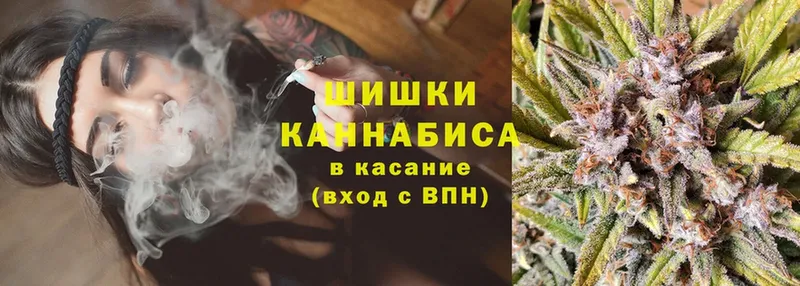 хочу   Камызяк  Шишки марихуана White Widow 